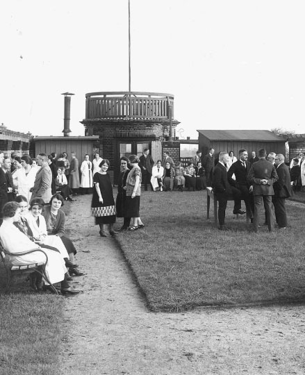 Garden on the roof of the central administration building